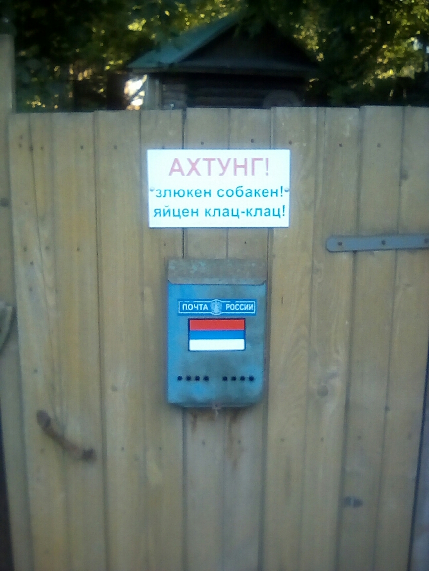 пюжен собаьен Яицен мпац ьпац мм