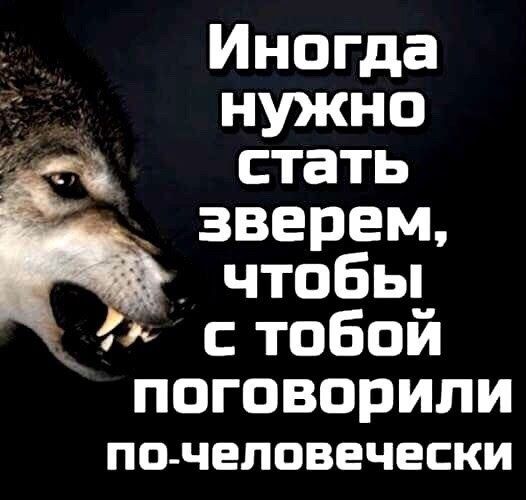 Лнопда ЪЦПКНО 3_ стать зверем чтобьп стобой поговорили ПО ЧЕЛОВЕЧЕСКИ