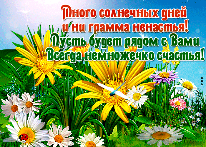 інного вещании пней днц гр ма иен рядом Ёши 9 счаістья і
