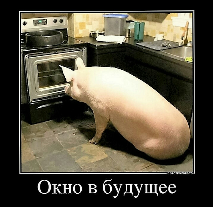пипппшцш Окно в будущее
