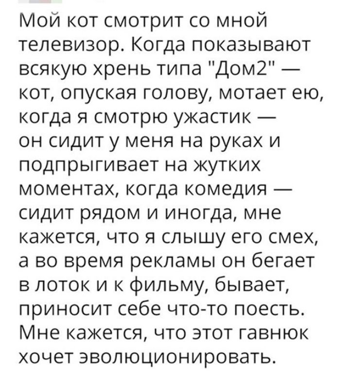 Мой кот смотрит со мной телевизор Когда показывают всякую хрень типа Дом2 кот опуская голову мотает ею когда я смотрю ужастик он сидит у меня на руках и подпрыгивает на жутких моментах когда комедия сидит рядом и иногда мне кажется что я слышу его смех а во время рекламы он бегает в поток и к фильму бывает приносит себе чтото поесть Мне кажется что этот гавнюк хочет эволюционировать