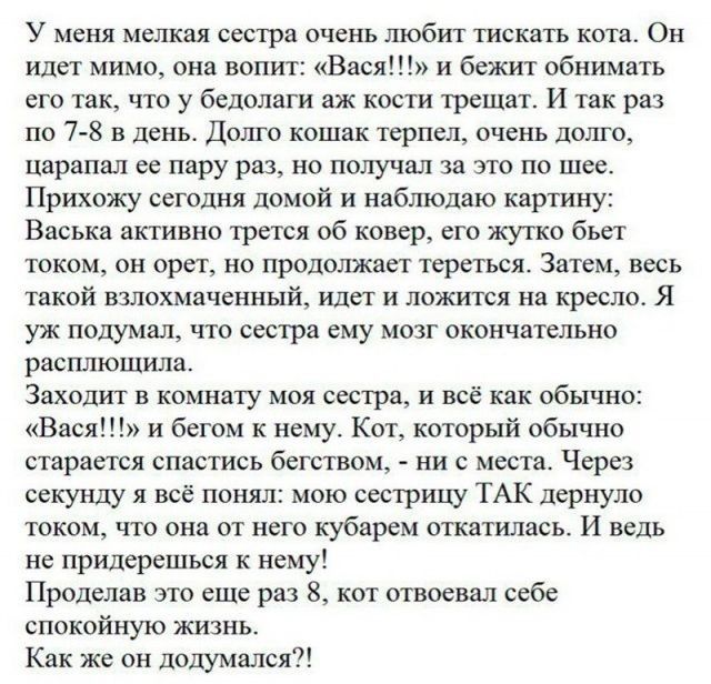 У меня мелкая сестра очень побит тискагь та Он идет мимо она вопит Васи и бежит обнимать его так по у белолаги аж кости трещат И так раз по 7 3 в день Дшцо кошак рпрл очень дв Цврапвп ес пару раз но получил за это по шее Прихожу сегодня домпй и наблюдаю кдртину Васька апивно трется об ковер его жупт бьет таком он Фри но продолжает греться Затем шь такой выохмачснный идет и лвжшся на кресло Я уж по