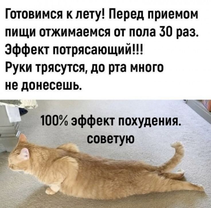 Готовимся к лету! Перед приемом пищи отжимаемся от пола 30 раз. Эффект потрясающий!!! Руки трясутся, до рта много не донесешь.
100% эффект похудения. советую