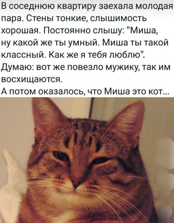 В соседнюю квартиру заехала молодая пара. Стены тонкие, слышимость хорошая. Постоянно слышу: 