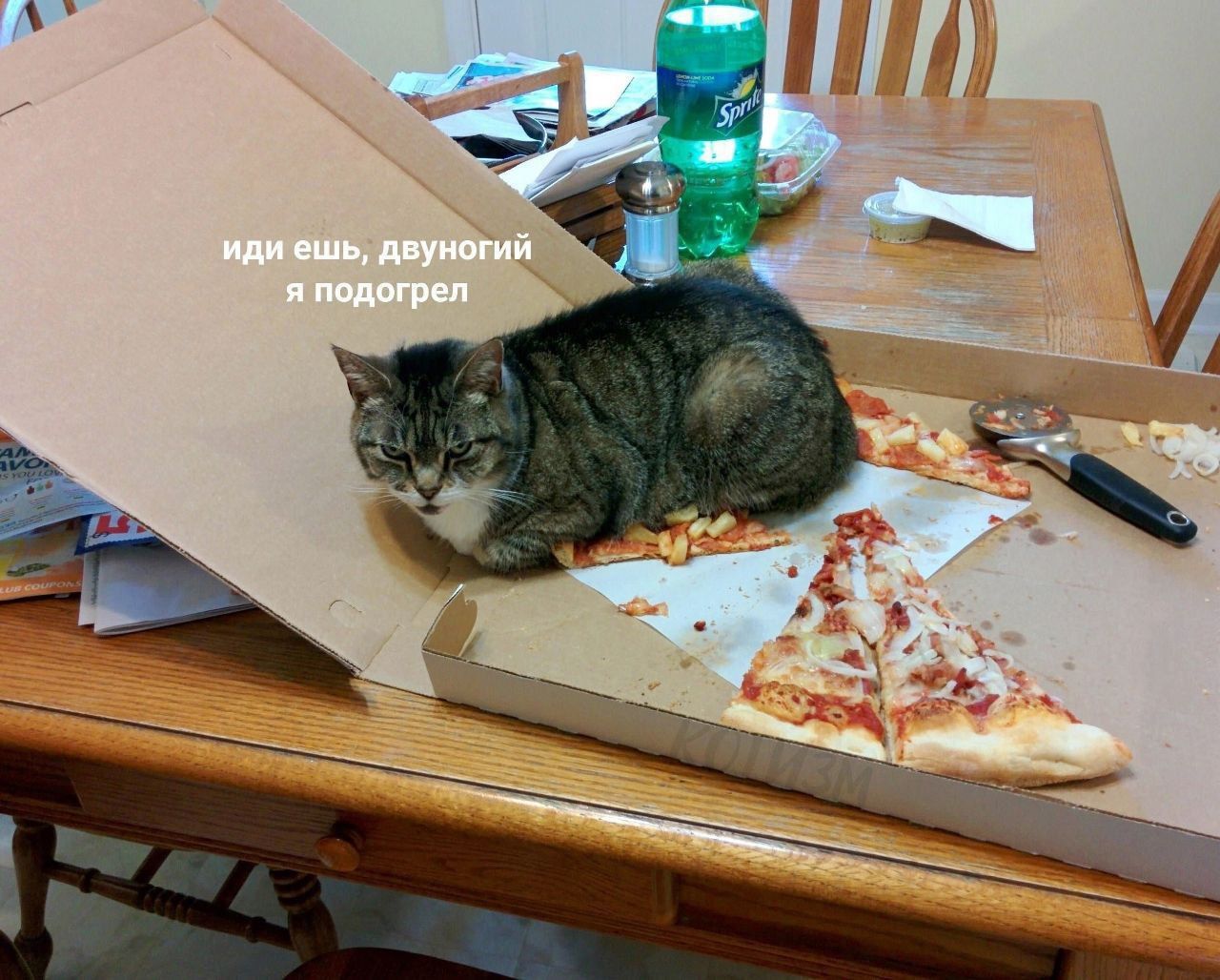 иди еще, двуногой я подогрел