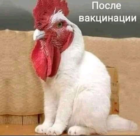 После вакцинации