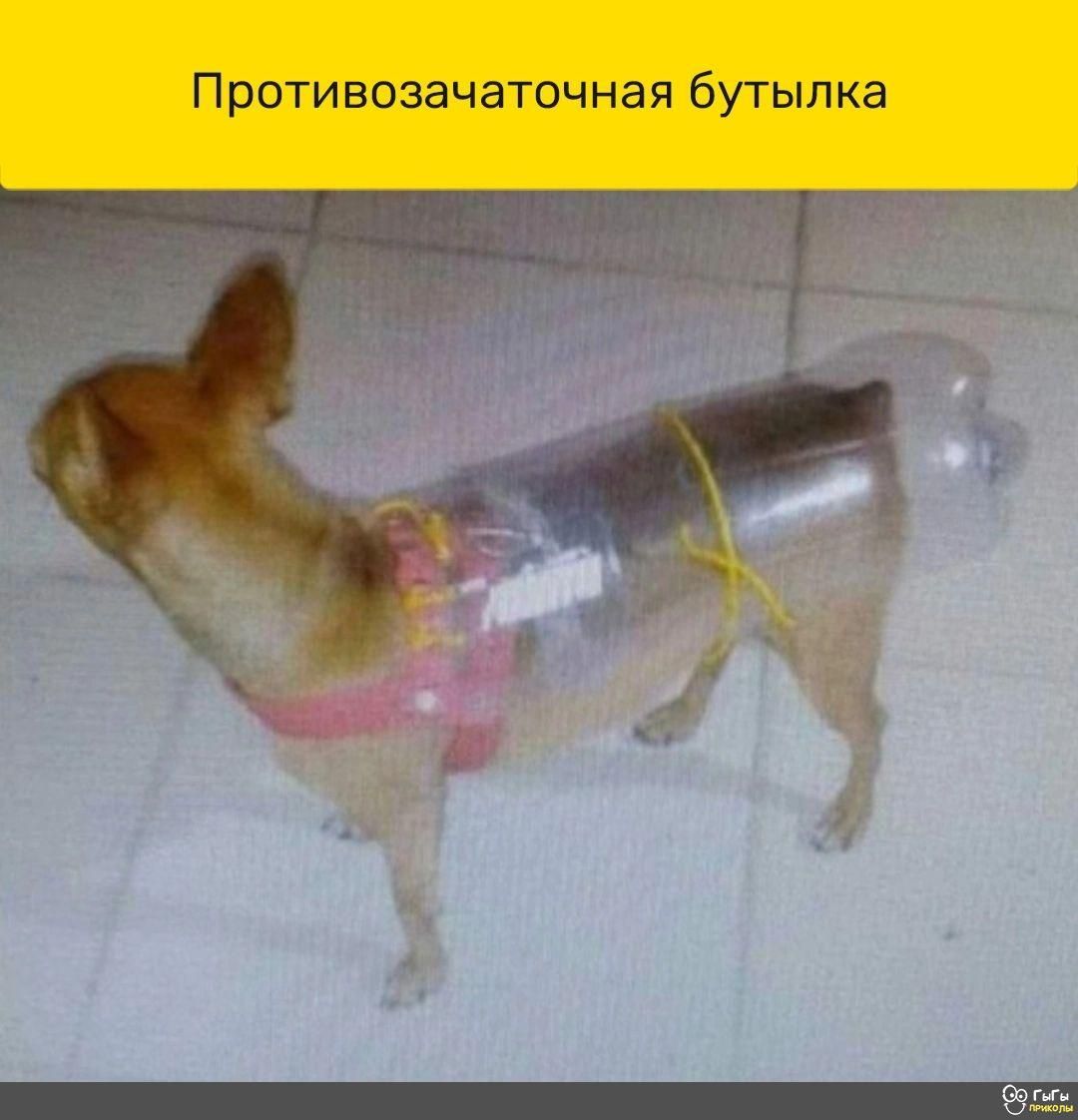 П роти ВОЗЭЧЭТОЧНЭЯ бУТЫЛКЭ 511
