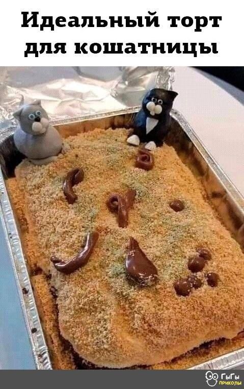 Идеальный торт для кошатницы