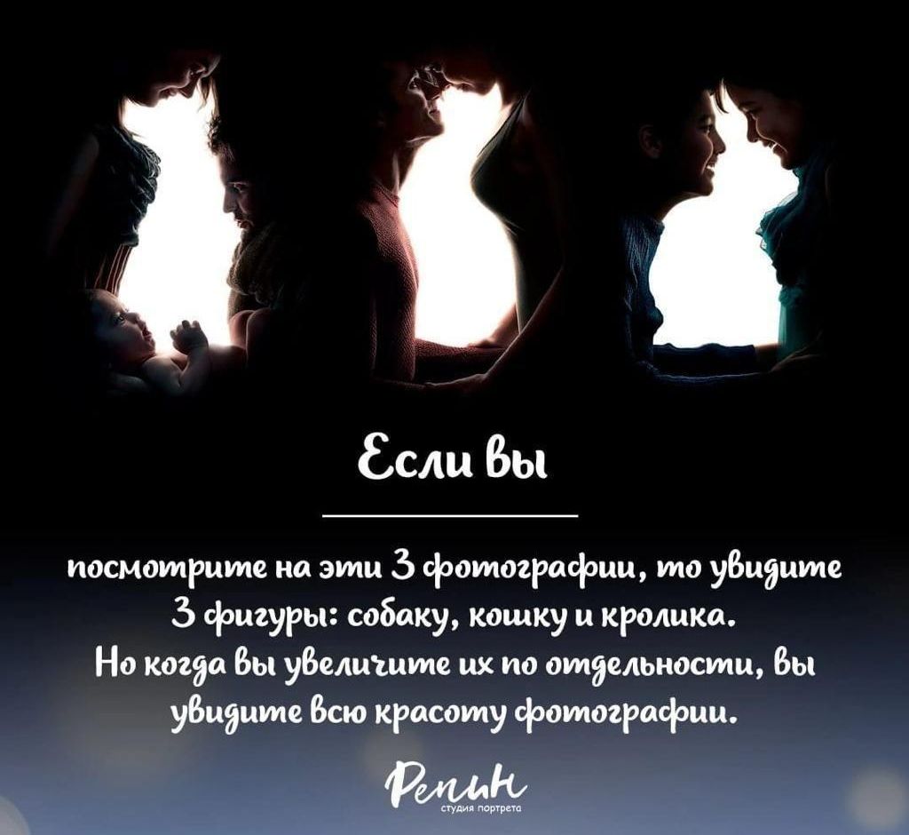 Зі Если Вы посмотрите а эти фатаърафии то увы 3 фмуры собаку кошку и кромки На Вы уши ик по отдельности Вы ви и Всю красоту фамщппфци