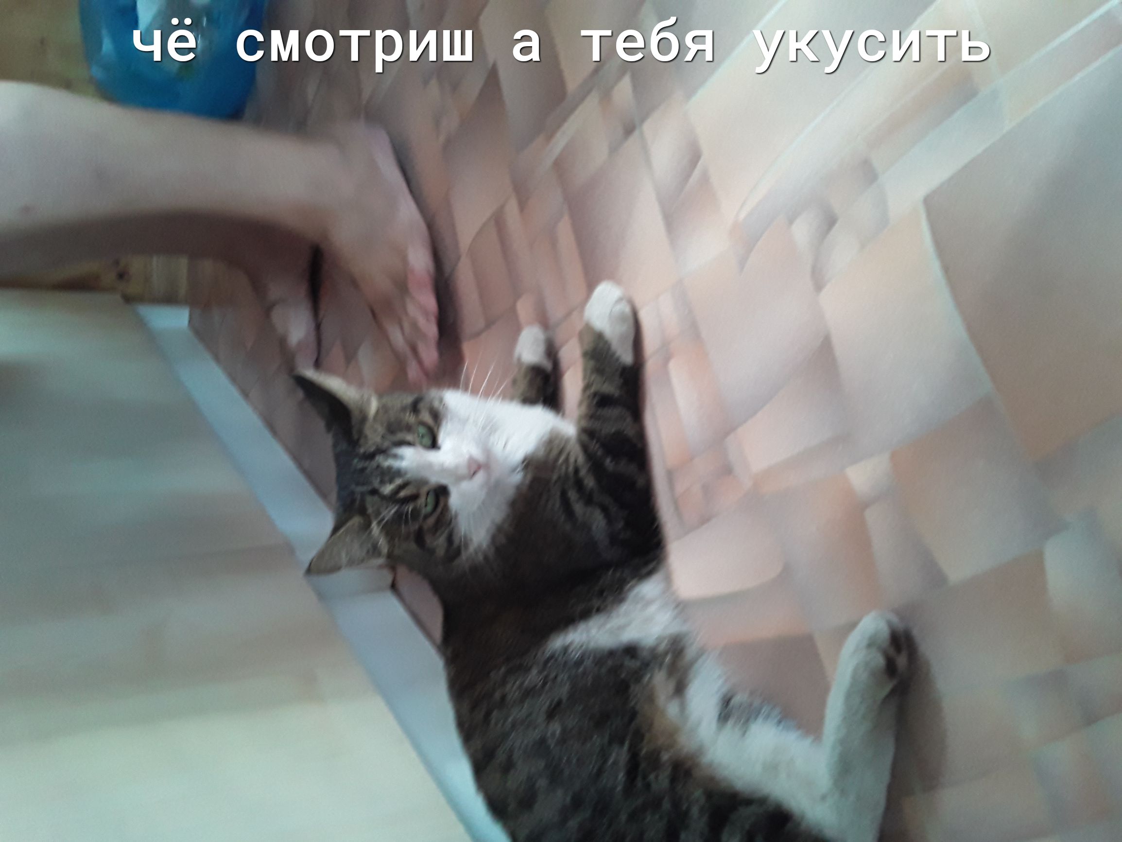 ъье смотцш Ё эбя уКсить