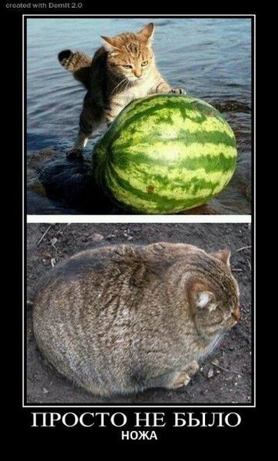 ы о 1 ш просто НЕ БЫЛО НОЖА