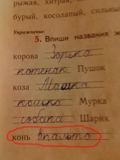корова Уш коза Мур кг