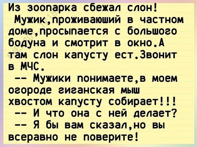 Из зоопарка сбежал слон Мужикпроживаюший в частном домепросыпается с большого бодуна и смотрит в окноА там слон капусту естЗвонит в МЧС Мужики понимаетев моем огороде гиганская мыш хвостом капусту собирает И что она с ней делает Я бы вам сказапно вы всеравно не поверите