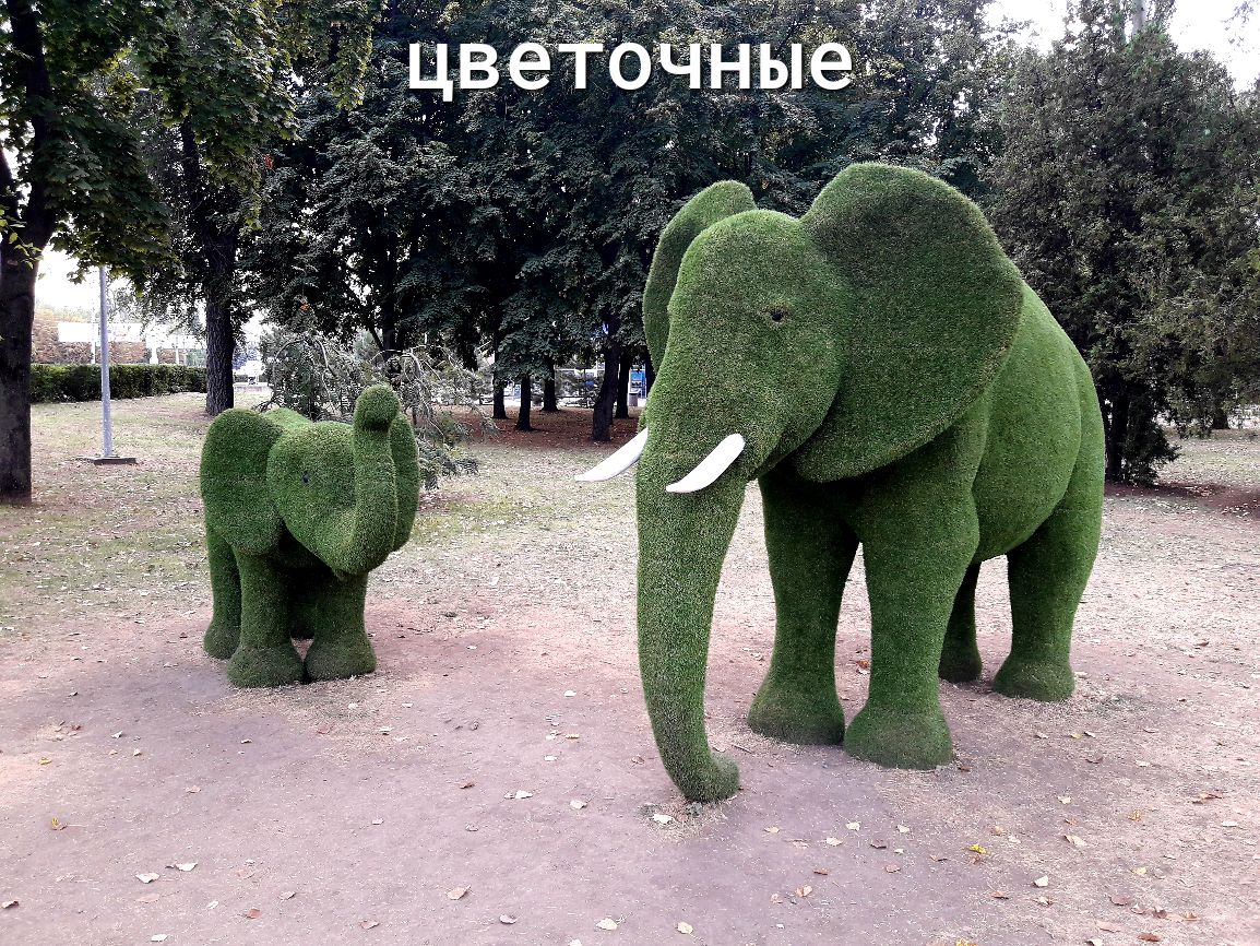 Цветочн ..ьвщ ы е   3 