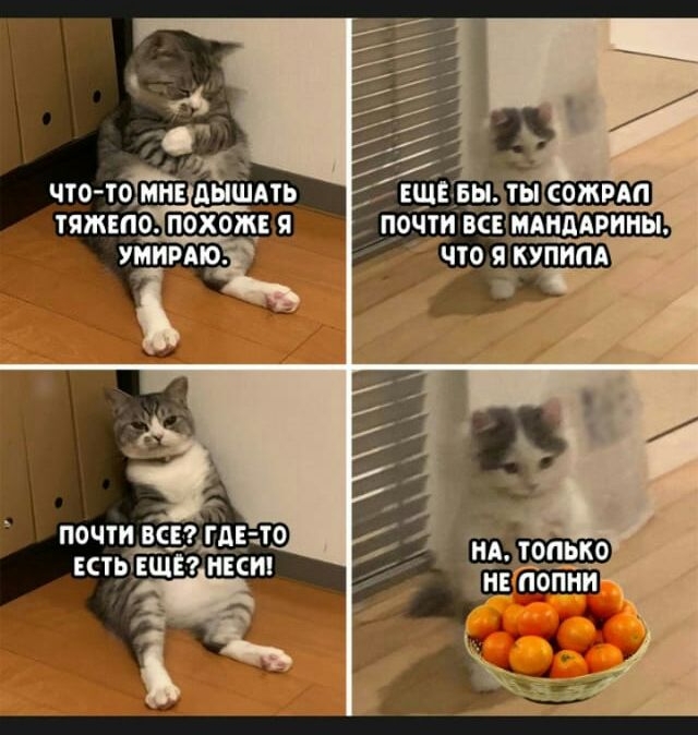 ЕЩЕ почти всё почти девицам кты шт икт