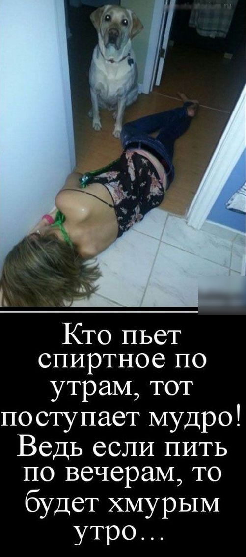 Кто пьет спиртноепо утрам тот поступает мудро Ведь если пить по вечерам то будет хмурым утро