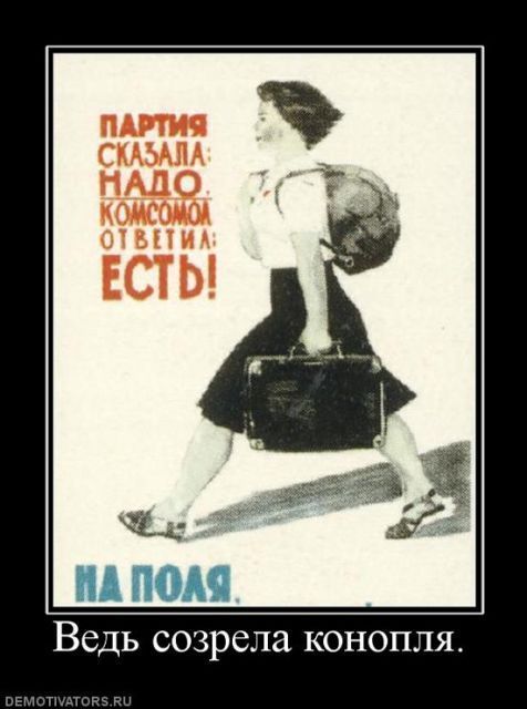 Ведь созрела конопля