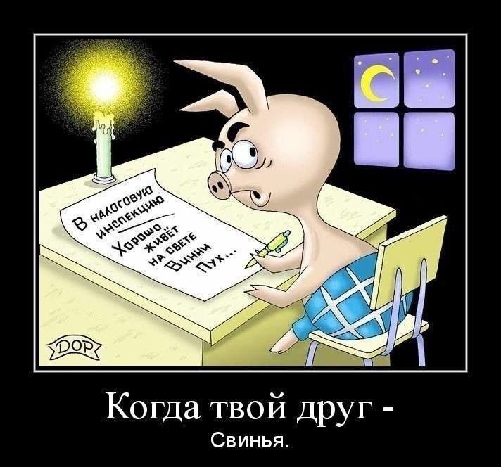 Когда твой Друг Свинья