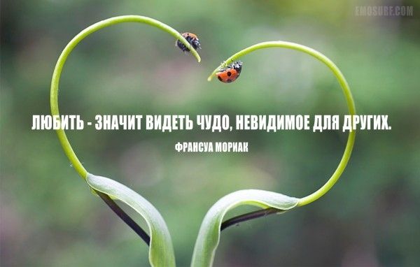 та 92 ЛЮБИТЬ ЗНАЧИТ ВИДЕТЬ чило шипит ШШ ЛПП шип И