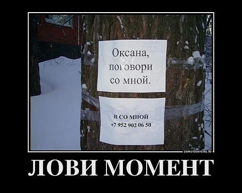 ЛОВИ МОМЕНТ