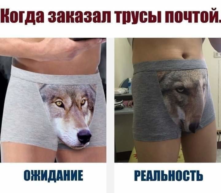 Когда заказал ТШЮЫ ПШППЙ ШВИДШИЕ РЕАЛЬНЫЕ