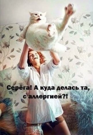 Акунин ТР вашей
