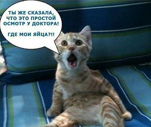 Ё ты жа СКАЗАЛА что это простой ОСМОТР У ЦОКТОРА ГДЕ мои яйцдш