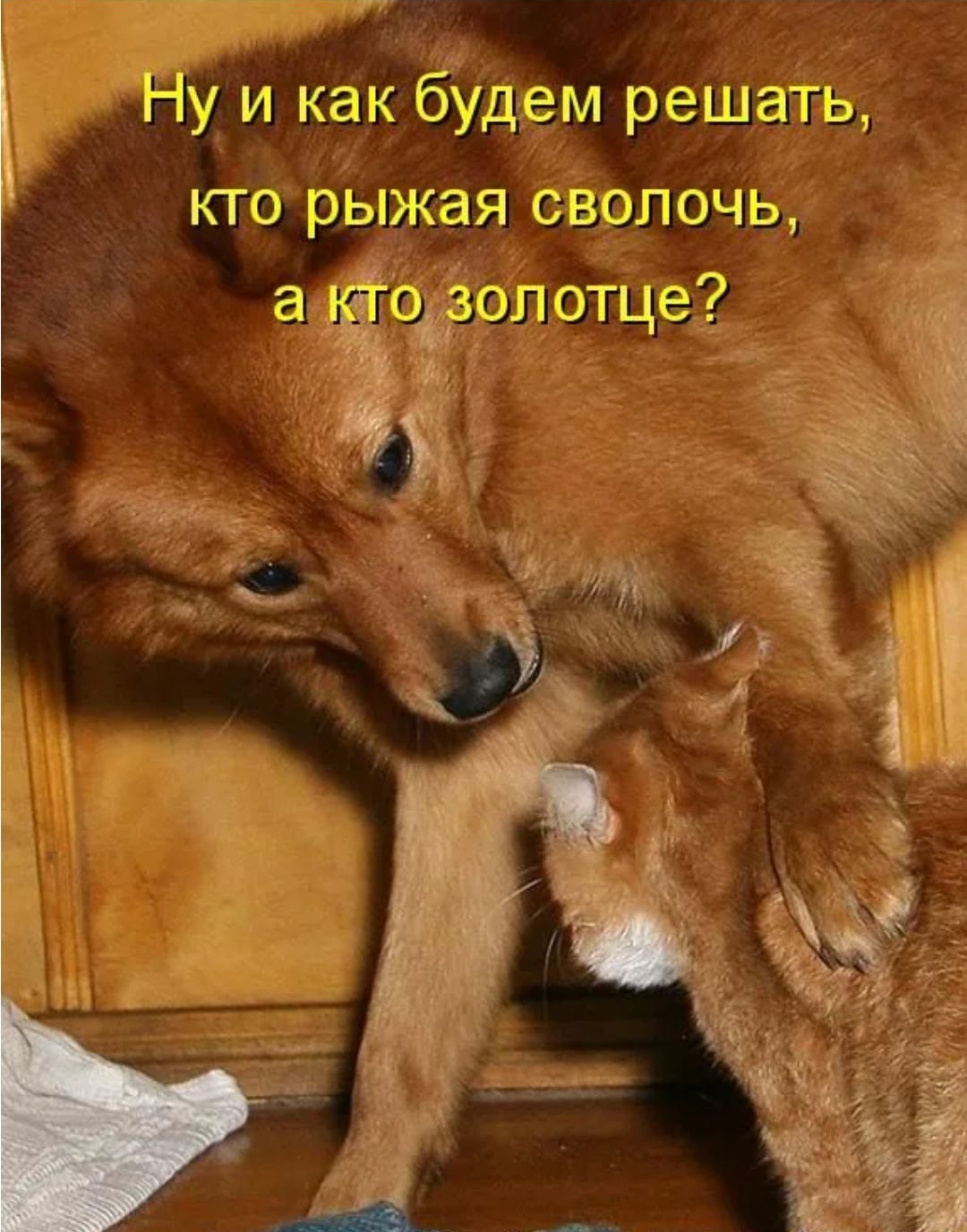 Му и как бЕддэм решаТь кто рыжая сВ эиочь 739 и опдээлготце на