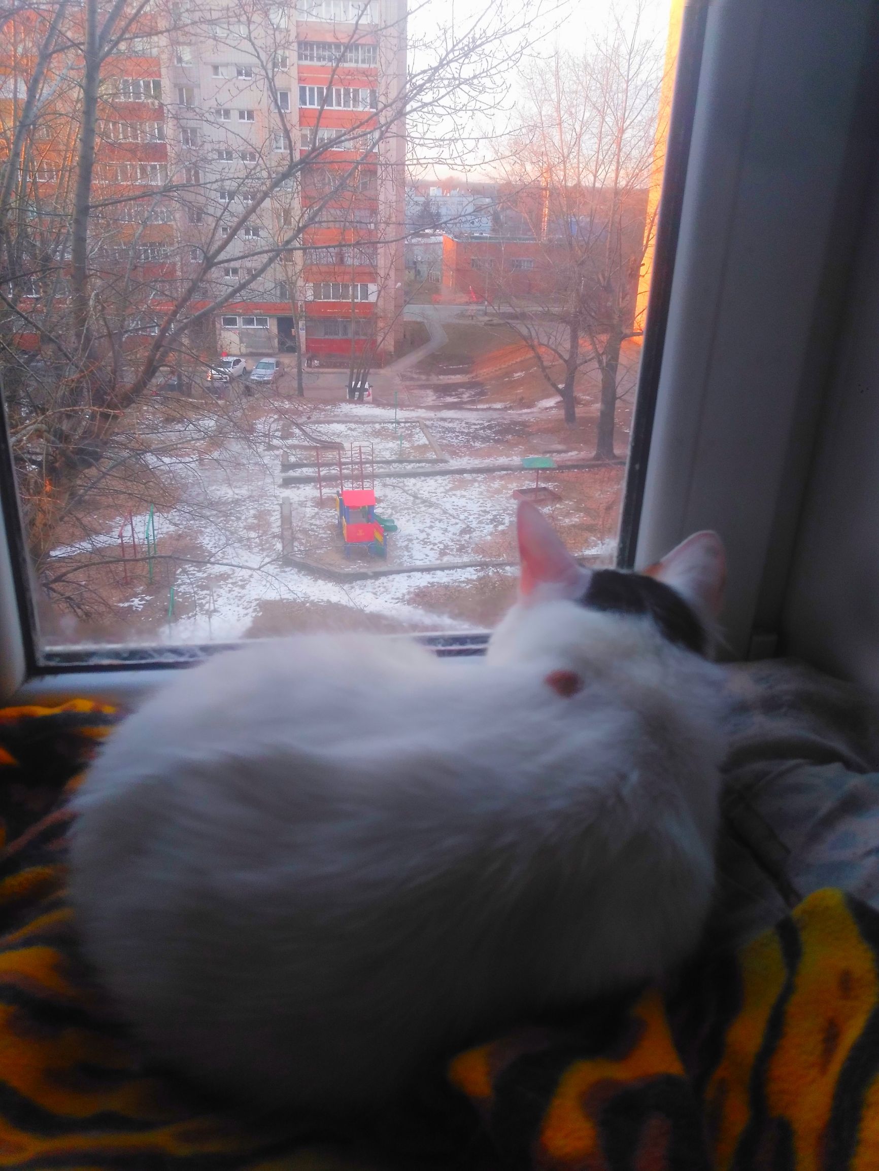 В.