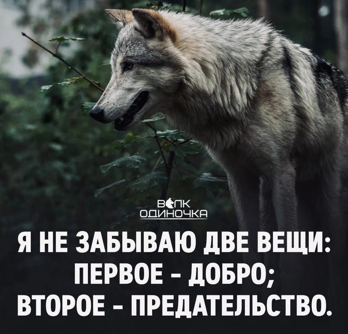 _ __2 Еепк ппиншчкп я не здвыЪлвн ВЕЩИ ПЕРВОЕ довго второв првддтвпьство