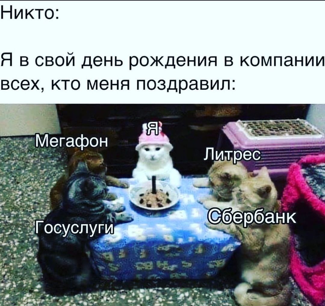 Никто Я в свой день рождения в компании всех кто меня поздравил