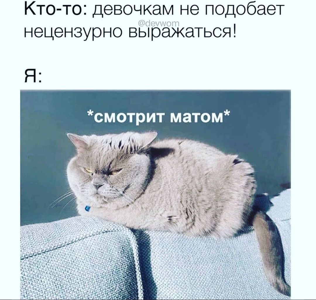 Кто то девочкам не подобает нецензурно выраЖаТЬСЯ смотрит матом
