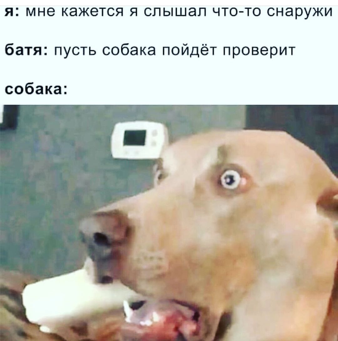 Я мне КЭЖЭТСЯ Я слышал ЧТО ТО СНЭРУЖИ батяпустьсобакапойдётпроверит собака