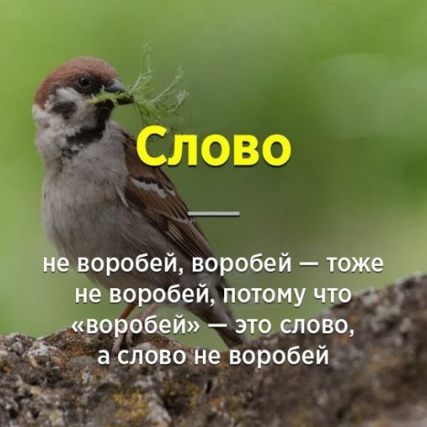 Слово _ не воробей воробей тоже не воробей потому что воробей это слово а а слово не воробей