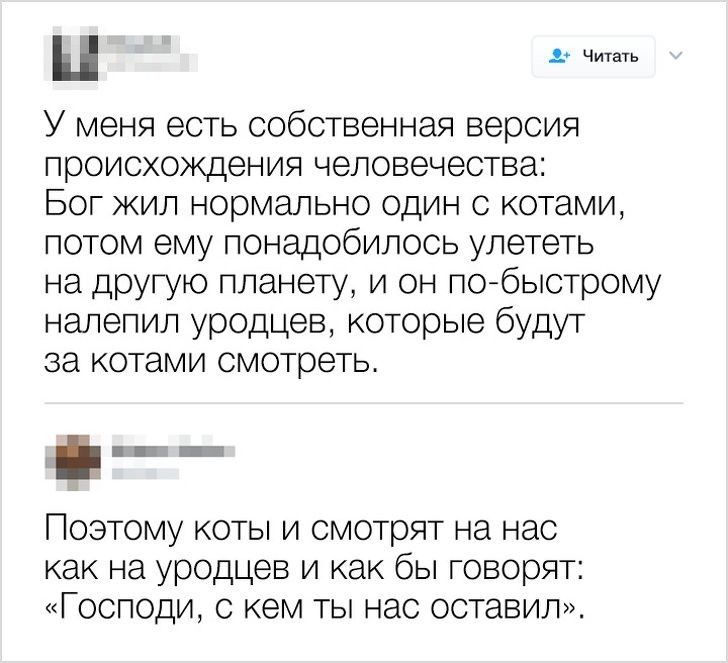 ш цитат У меня есть собственная версия происхождения человечества Бог жил нормально один с котами потом ему понадобилось улететь на другую планету и он побыстрому налепил уродцев которые будут за котами смотреть Ш Поэтому коты и смотрят на нас как на уродцев и как бы говорят Господи с кем ты нас оставил