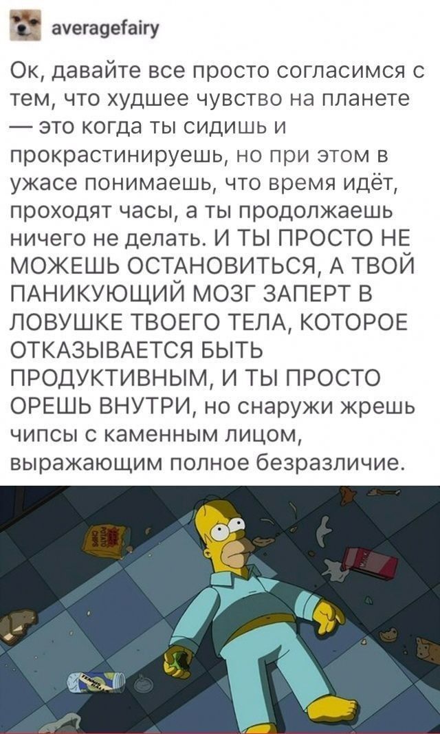 ауегаоеіаігу Ок давайте все просто согласимся с тем что худшее чувство на планете это когда ты сидишь и прокрастинируешь но при этом в ужасе понимаешь что время идёт проходят часы а ты продолжаешь ничего не делать И ТЫ ПРОСТО НЕ МОЖЕШЬ ОСТАНОВИТЬСЯ А ТВОЙ ПАНИКУЮЩИЙ МОЗГ ЗАПЕРТ В ЛОВУШКЕ ТВОЕГО ТЕЛА КОТОРОЕ ОТКАЗЫВАЕТСЯ БЫТЬ ПРОДУКТИВНЫМ И ТЫ ПРОСТО ОРЕШЬ ВНУТРИ но снаружи жрешь ЧИПСЫ С КЭМЭННЫМ Л