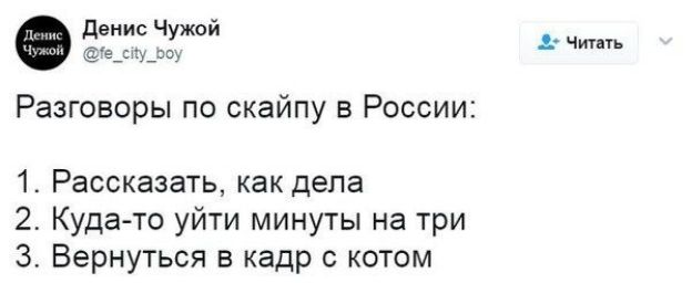 Чщать Разговоры по скайпу в России 1 Рассказать как дела 2 Куда то уйти минуты на три 3 Вернуться в кадр с котом