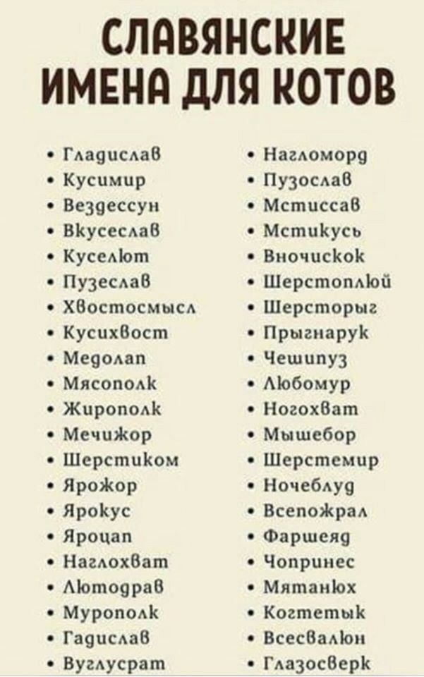 СЛдВЯНСКИЕ ИМЕНА дЛЯ КОТОВ ГАа9цсдаВ Нагдоморе Кусцмпр Пузосдав Везцессун Мстпссав ВКусесьаВ МстцКусь КусеАЪот ВиочцсЪюК Пузесдав Шерстоміой ХВостосмысл Шерсторыг КусцхВост Прыгпарук Мечом Чешцпуз Мясоподк Мобомур Жирополк НогохВат Мечникор Мышебор Шерстиіюм Шерстсмцр ЯроЖор Ночебдуу ЯроКус ВсепоЖраА Яроцап Фаршсяц Нагдохбат Чоприиес Мотоярав Мятаиіох Муроподк Когтетык Гаяцсдав ВсесВаЦом Вумусрат 