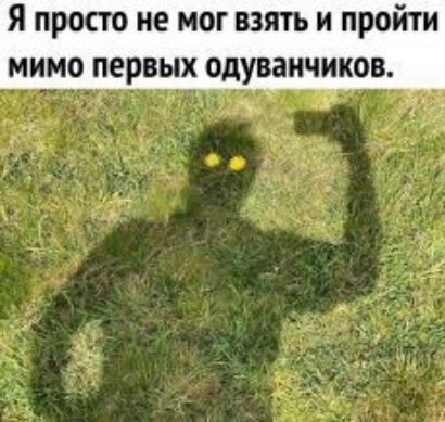 Я просто не мог взять и пройти мимо первых одуванчиков
