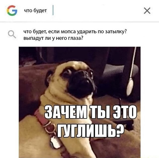 а что будет что будет если мопса ударить по затылку выпадут ли у него глаза