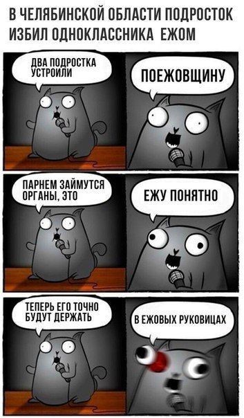В ЧЕЛЯБИНСКПЙ ОБЛАСТИ ППЛРПВТПК ИЗБИЛ ПЛНПКЛАБСНИКА ЕЖПМ двд ППЛРППКА утопии ПЦЕЖПВШИНУ тада ПАРНЕМ ЗАЙМУТВЯ ПРГДИЫ 3Т0 іі ППЕРЬ ЕП Тпчип вупут пкгждть в живых руквнищх