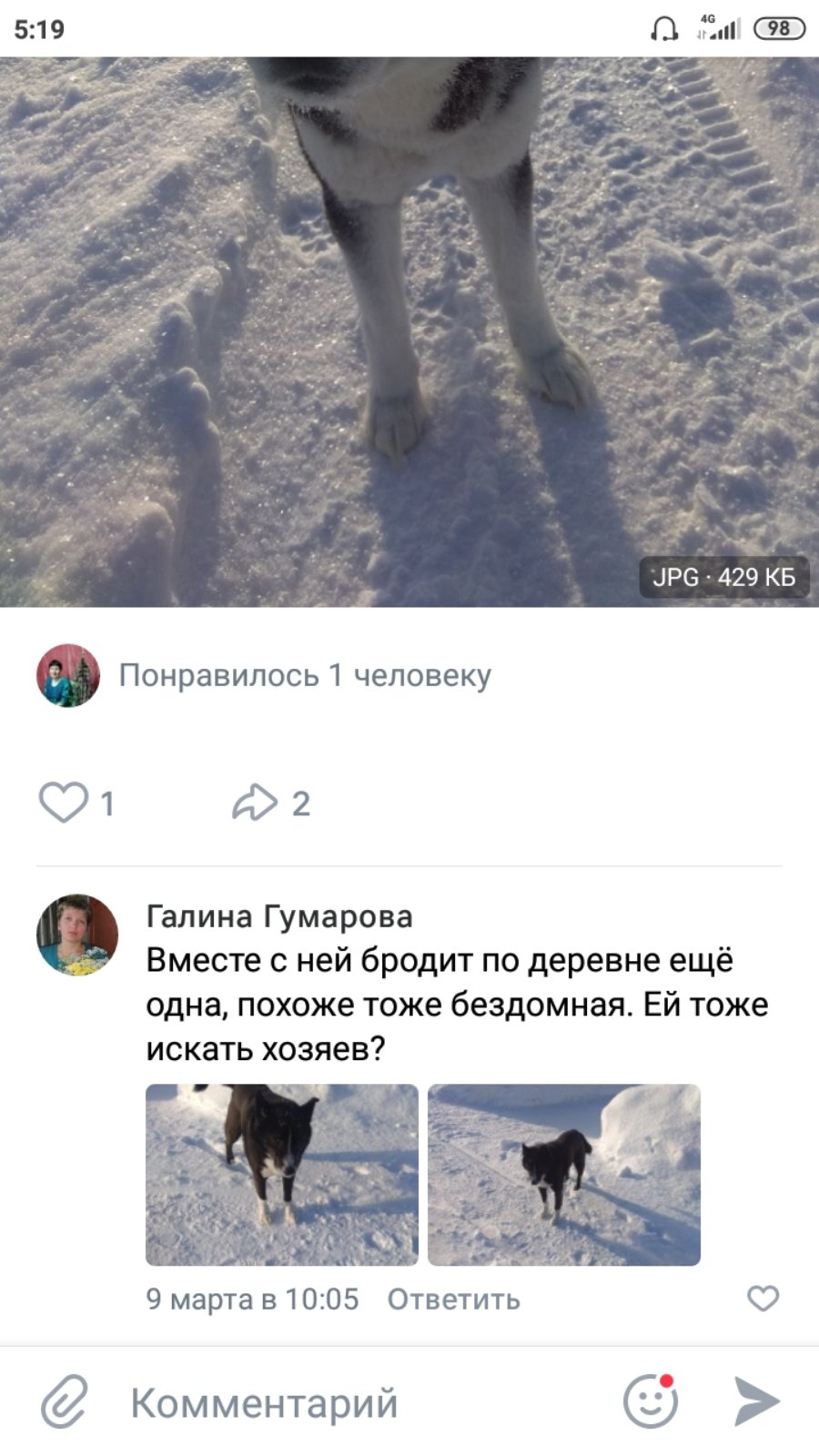 519 0 Ёп ЦРБ 429 КБ Ф Понравилось1 человеку 1 рі2 Галина Гумарова Вместе с ней бродит по деревне ещё одна похоже тоже бездомная Ей тоже искать хозяев _ 9 марта в 1005 Ответить Комментарий 3