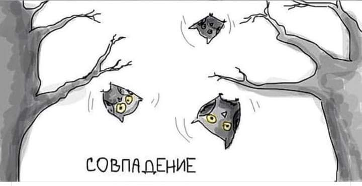 СОВПАДЕНИЕ