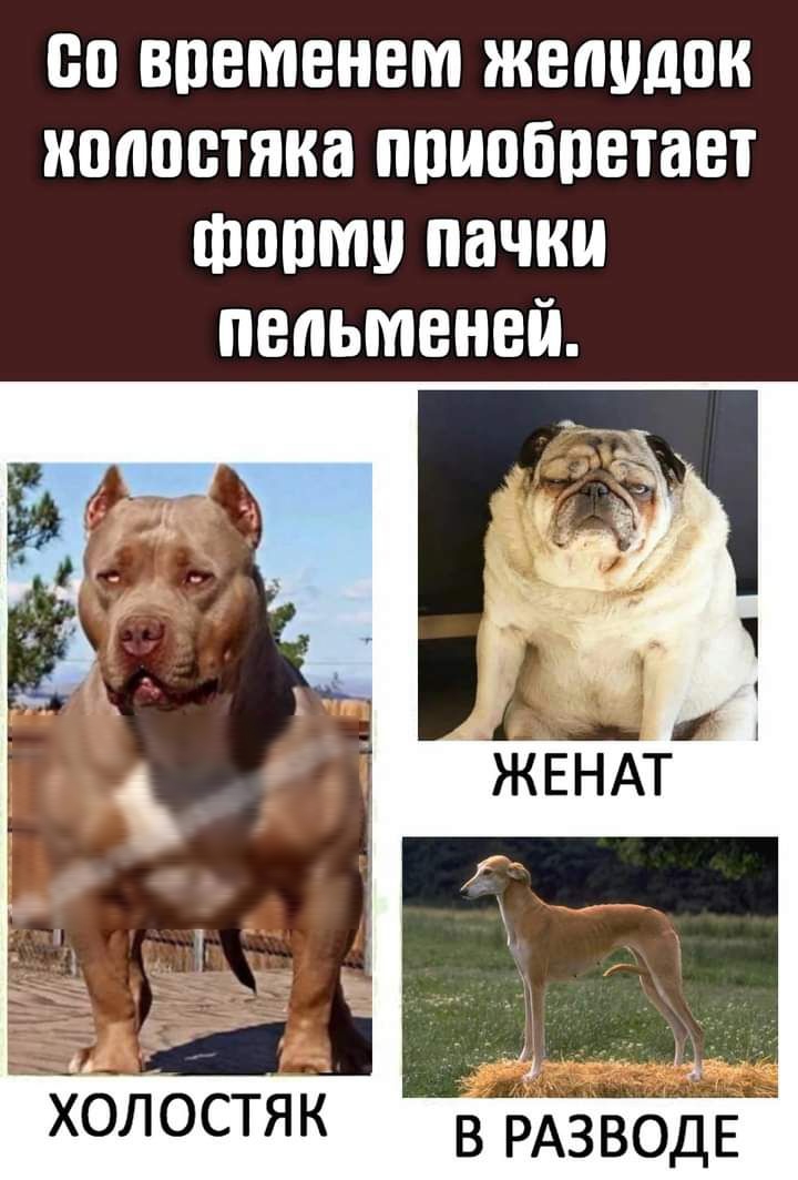 00 ВПВМВНВМ ЖВНШЮК ИЩЮБТЯКЗ ППИПБПЕТЗВТ ШШШ пачки ПВЛЬМВНВЙ хлостяк ВУ АЗВО д