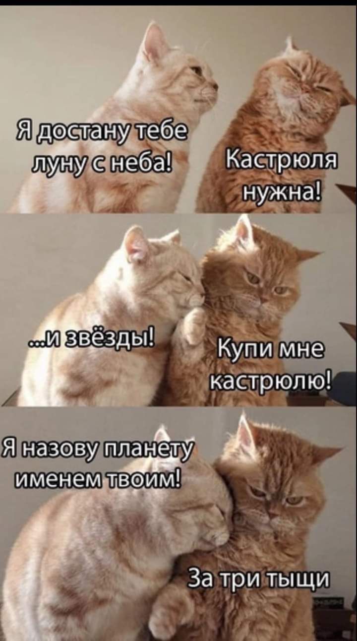 44 Ф Затриьтыщи
