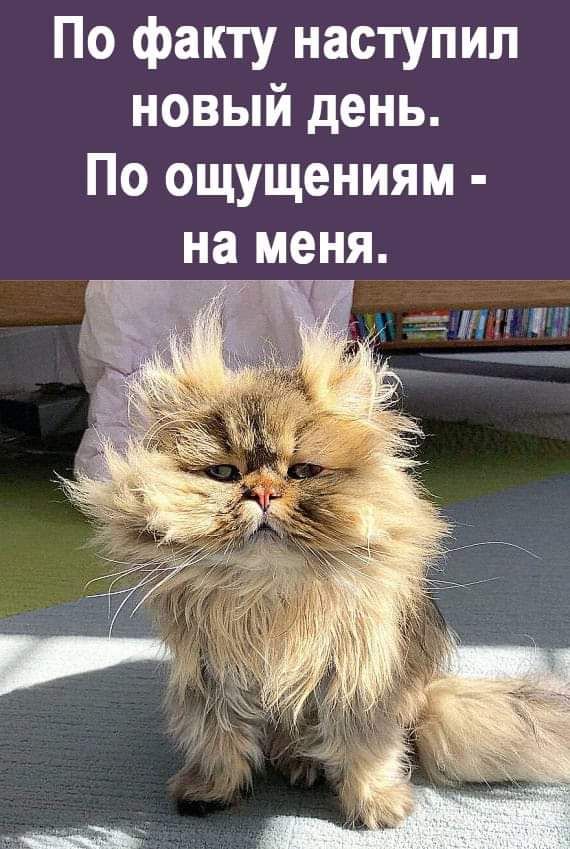 По факту наступил новый день По ощущениям на меня
