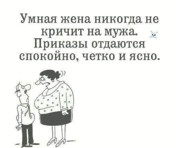 Умная жена никогда не кричит на мужа Приказы отдаются спокойно четко и ясно