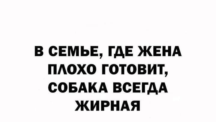 В СЕМЬЕ ГДЕ ЖЕНА ПАОХО ГОТОВИТ СОБАКА ВСЕГДА ЖИРНАЯ