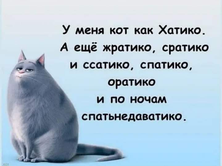 У меня кот как Хатико А ещё жратико сратико и ссатико спатико оратико и по ночам спатьнедаватико