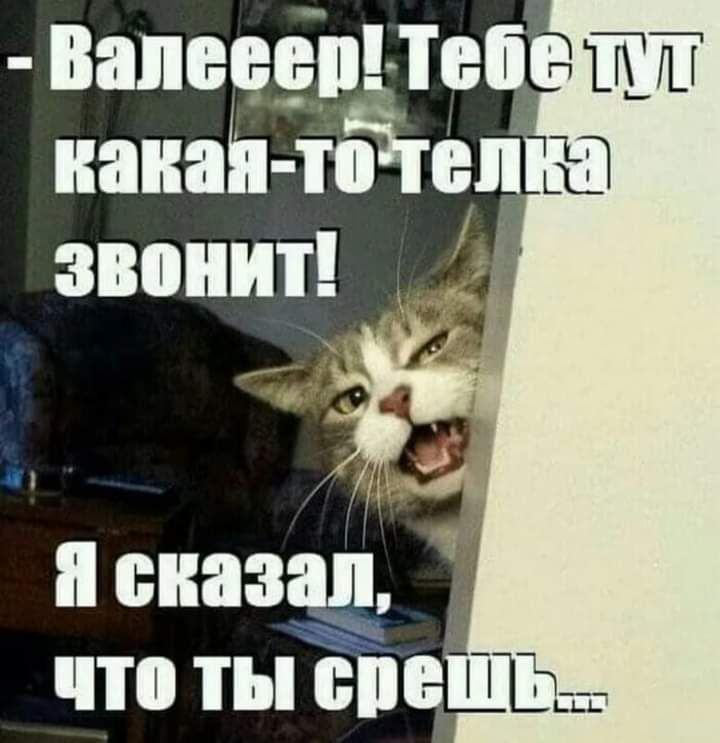 напевы ті ианаіп тоіюп зпюнит 1 и сказал что ты БВБ